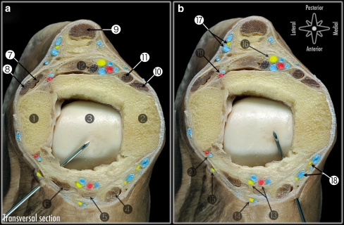 Fig. 1