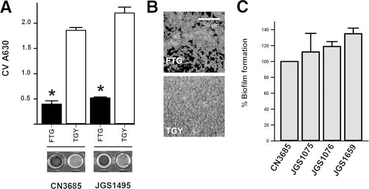 FIG 1