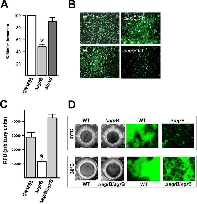 FIG 4