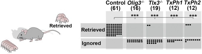 Fig. 5.