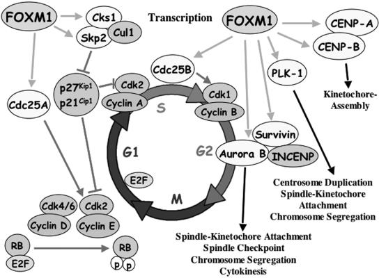 FIG. 10.