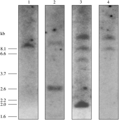 Figure 2.