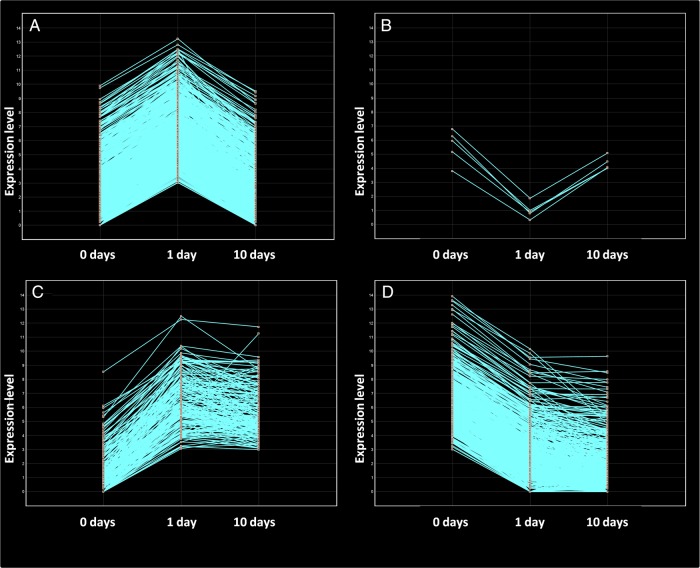 Figure 4.