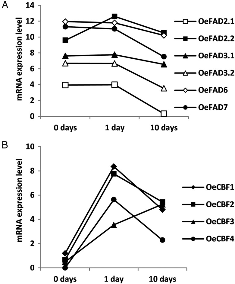 Figure 6.