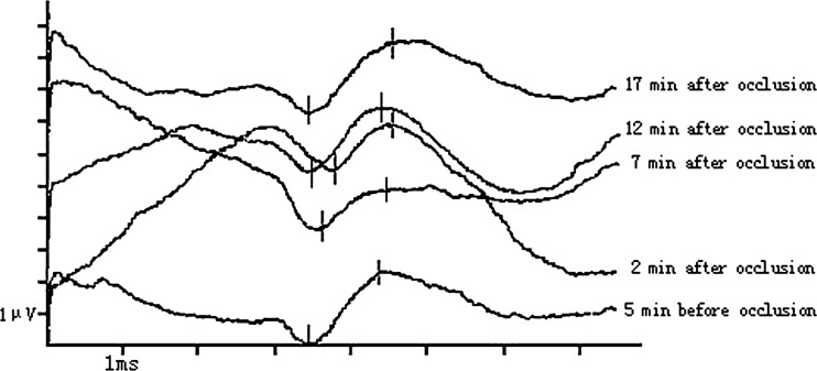 Fig. 3