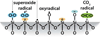 Scheme 3
