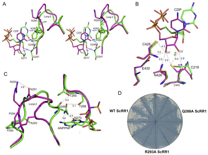 Figure 14.3