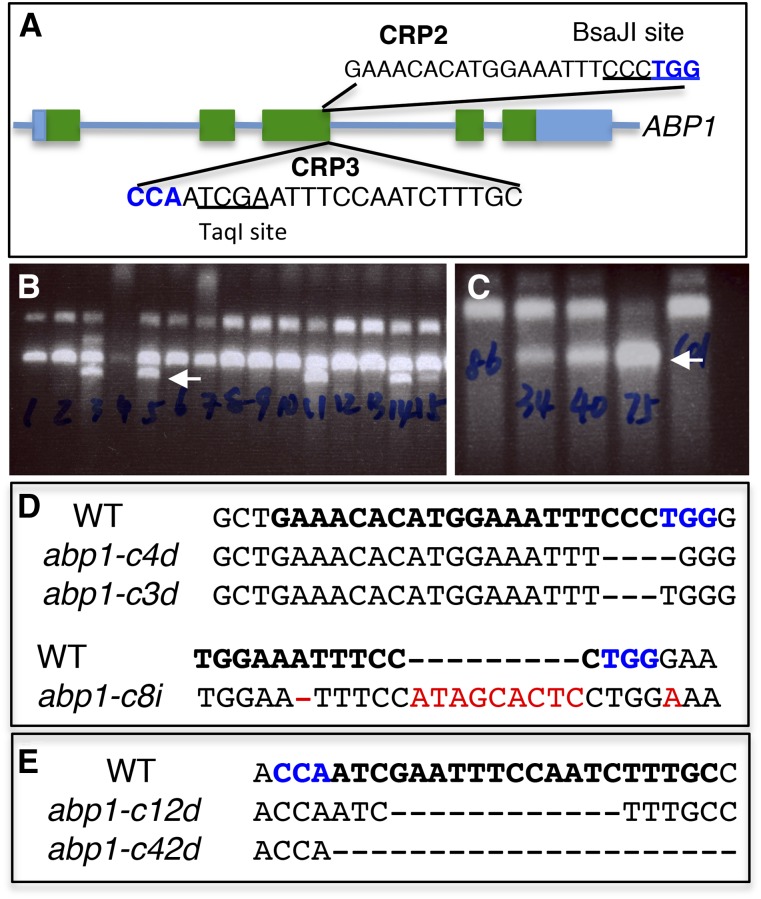 Figure 2.