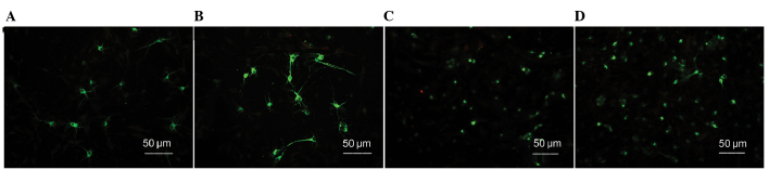 Figure 2.