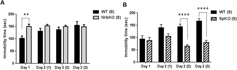 Fig 6