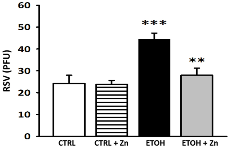 Figure 10.