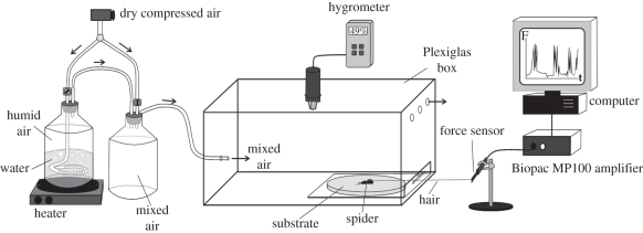 Figure 2.