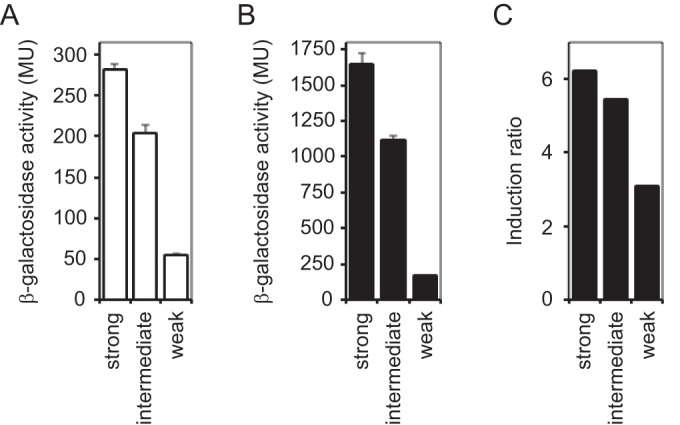 FIG 2