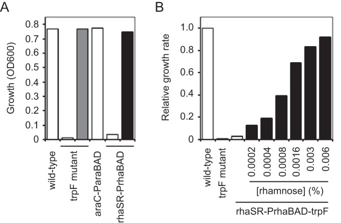 FIG 6