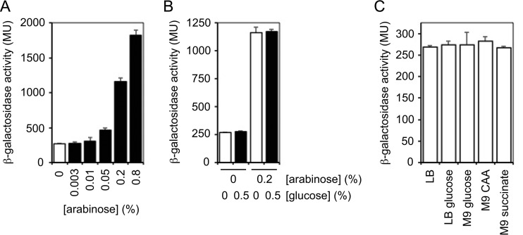 FIG 1