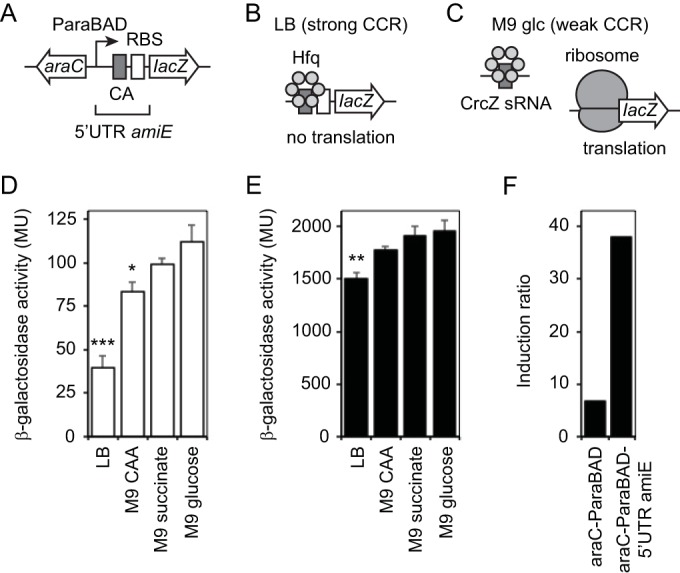 FIG 3