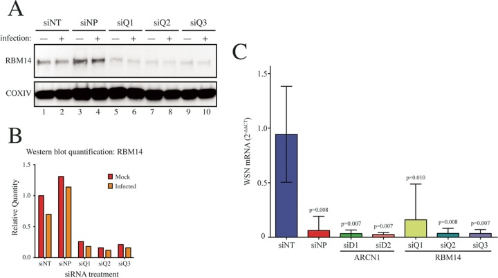 FIG 4