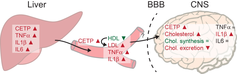 Fig. 6