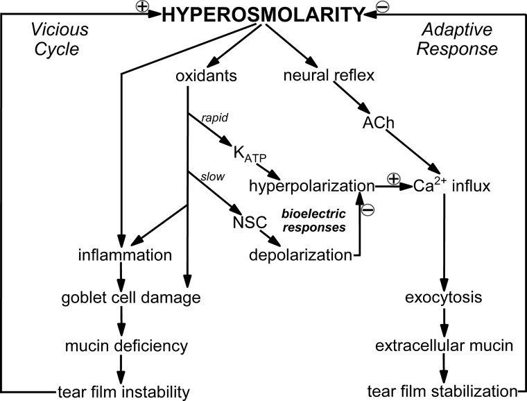 Fig. 9.