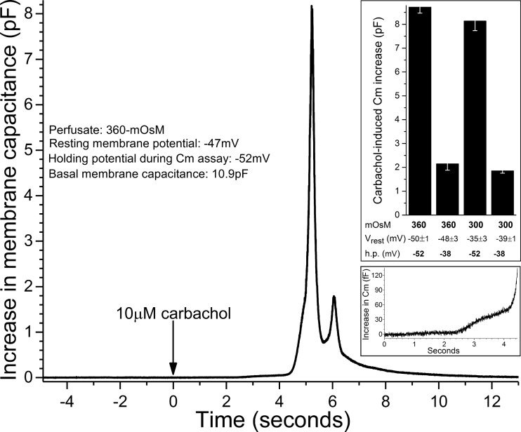 Fig. 6.