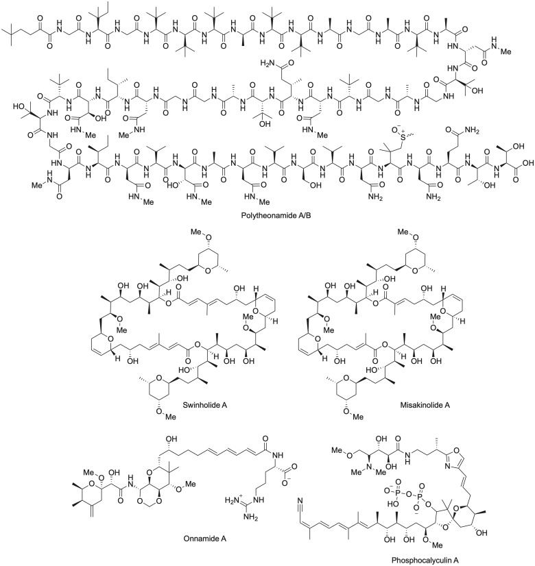 Fig. 2