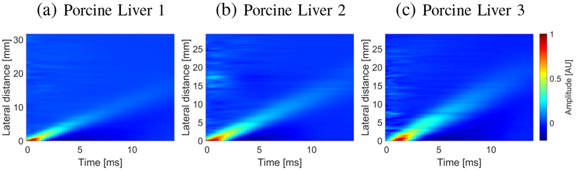 Fig. 9: