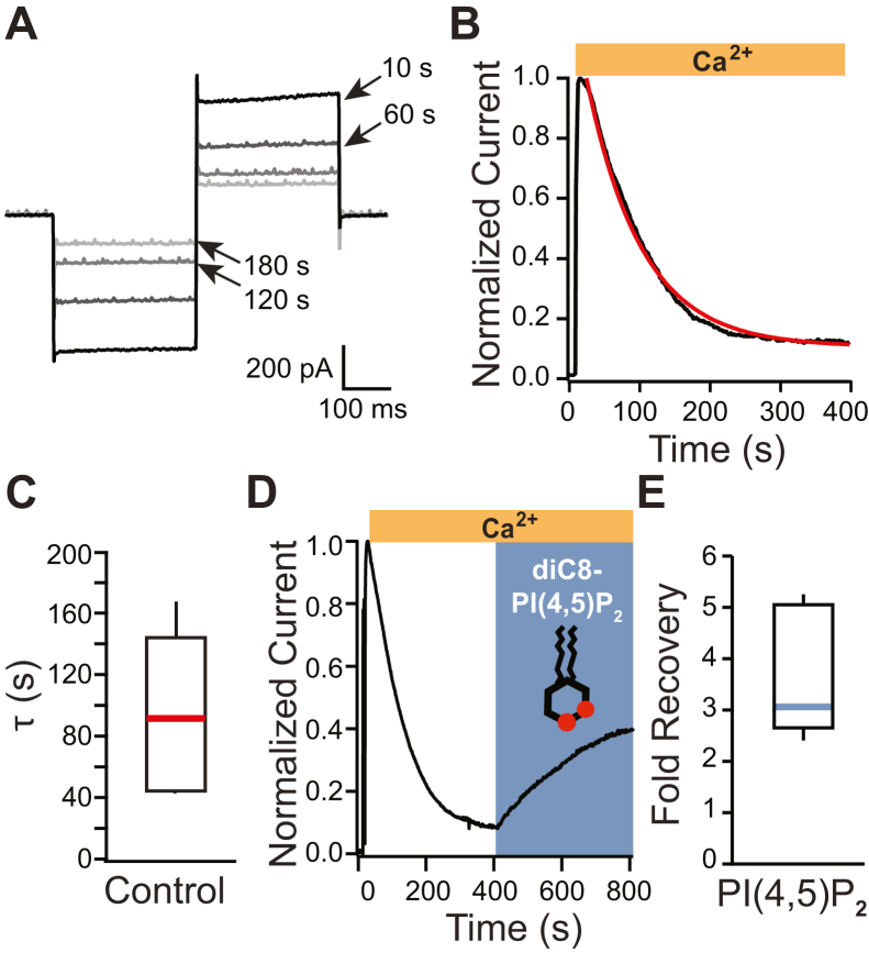 Figure 1