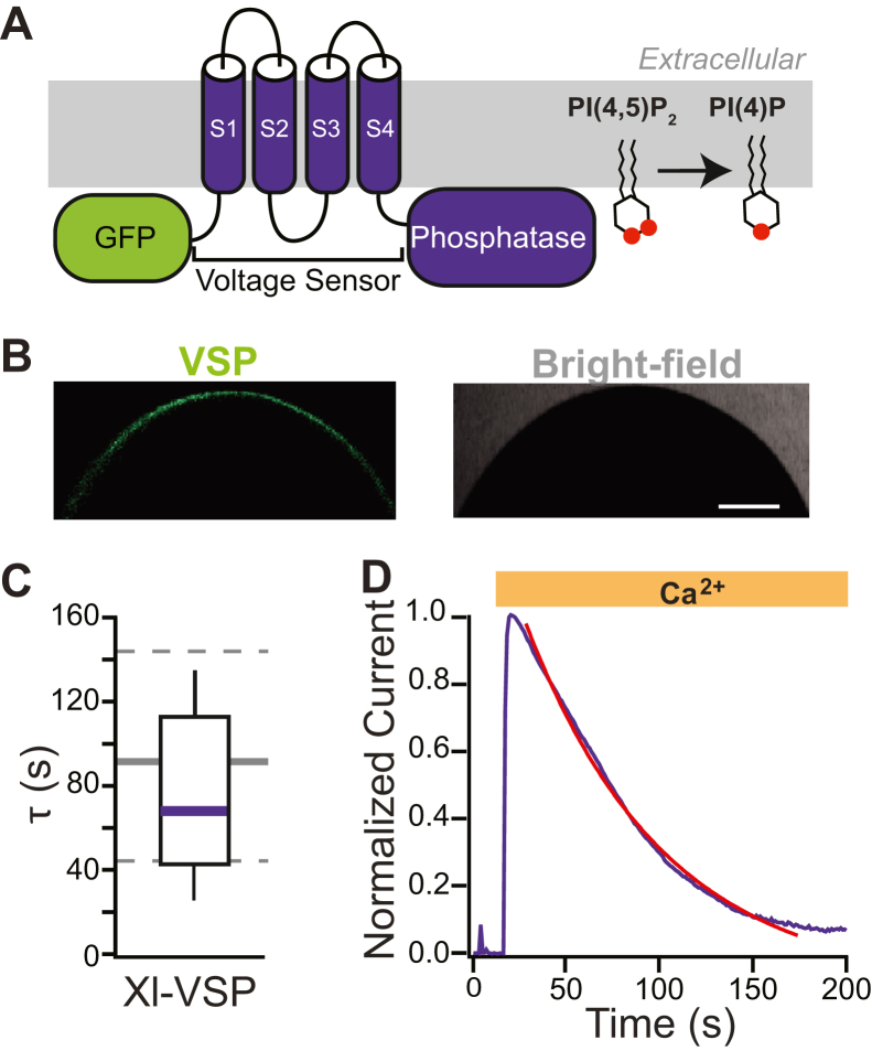 Figure 5