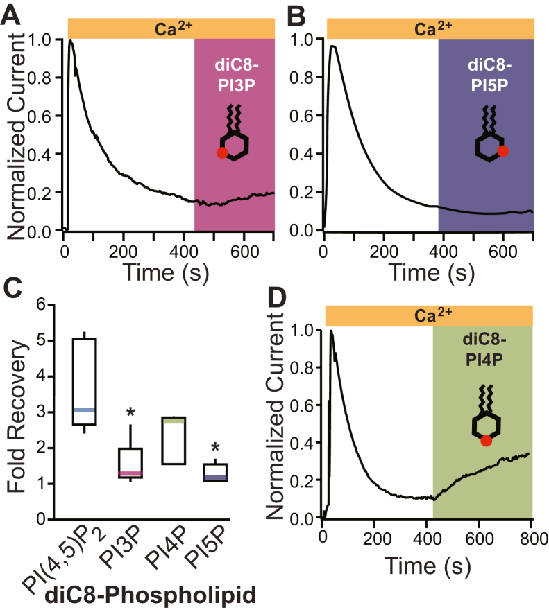 Figure 4