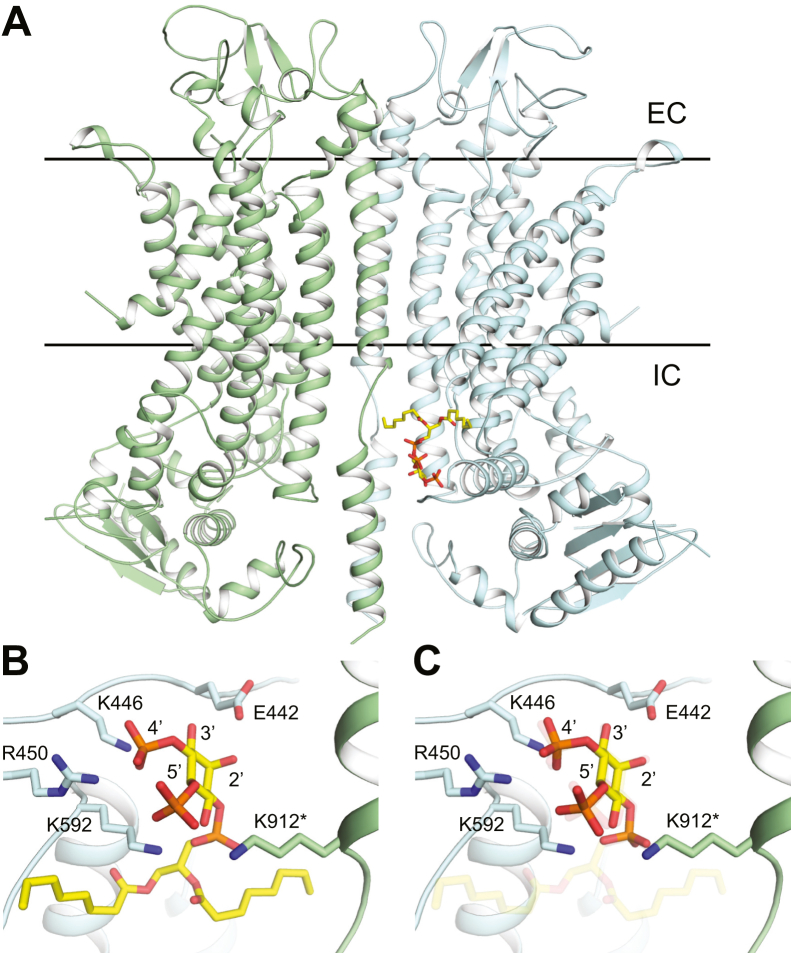 Figure 6