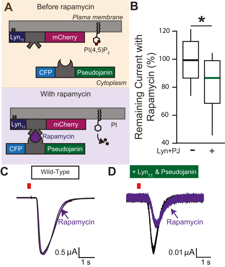 Figure 2