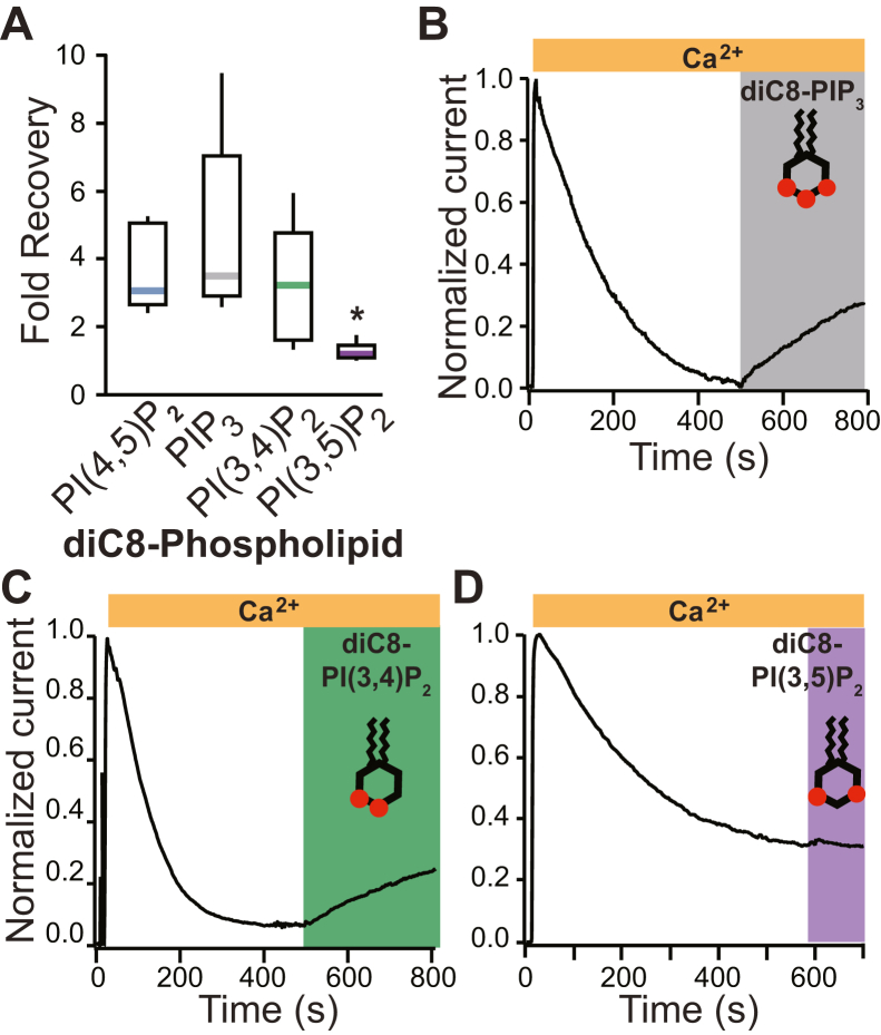 Figure 3