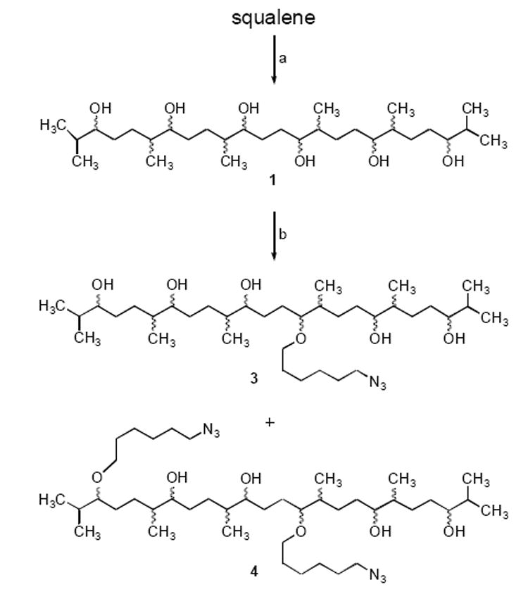 Scheme 1