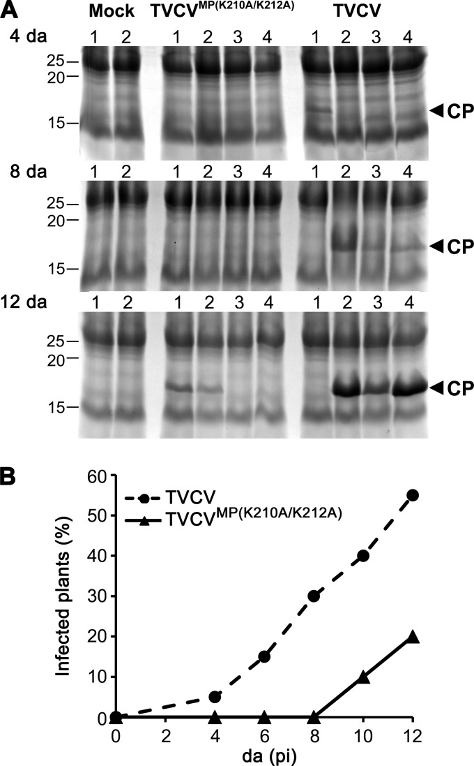 Fig 7