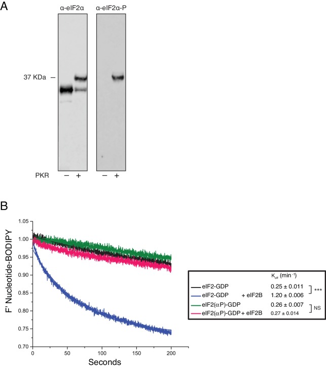 Figure 5—figure supplement 1.