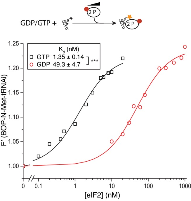 Figure 5—figure supplement 2.