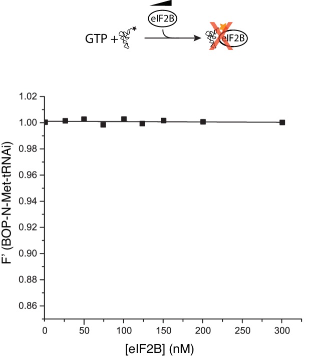 Figure 2—figure supplement 2.