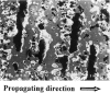 Figure 24.