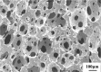 Figure 31.