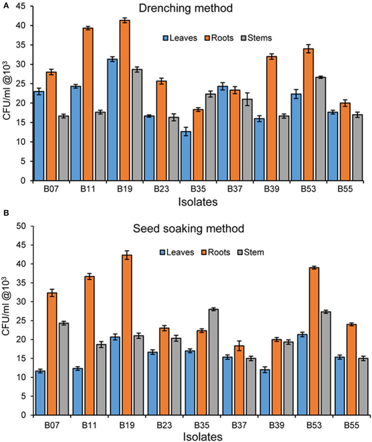 Figure 4