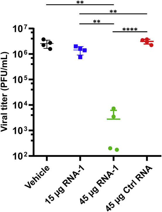 Figure 7