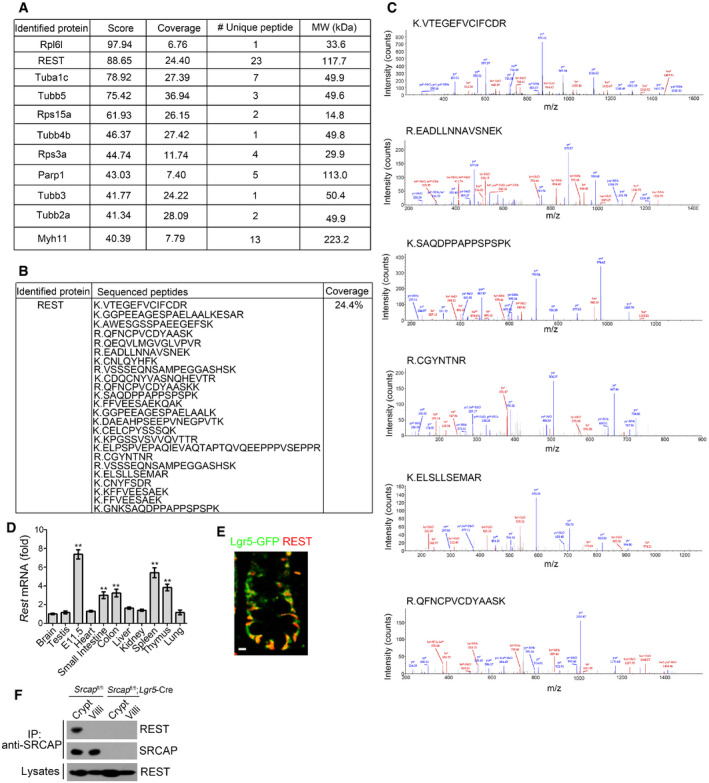 Figure EV3