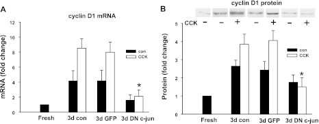 Fig. 11.