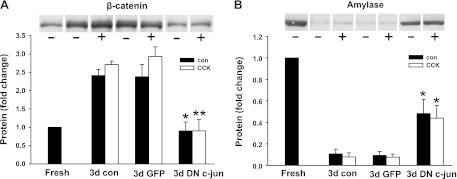 Fig. 12.