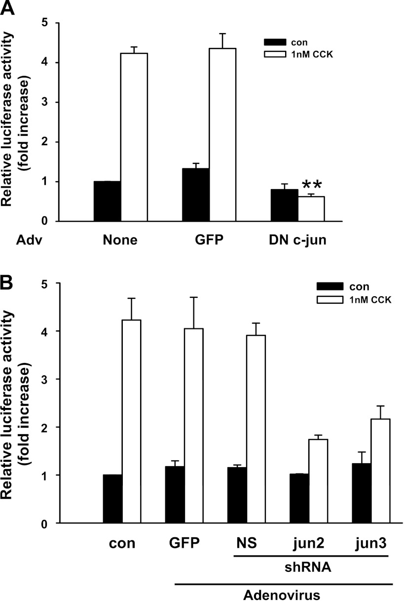 Fig. 10.