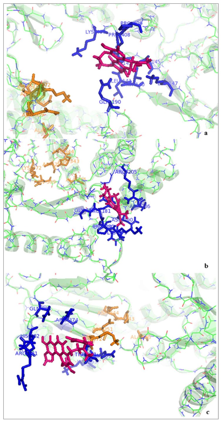 Figure 6