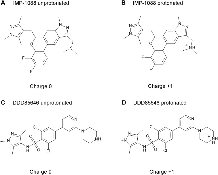 FIGURE 3