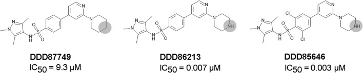 FIGURE 2