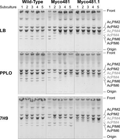 FIG. 2.