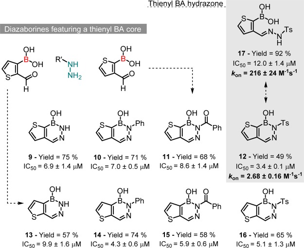 Scheme 4